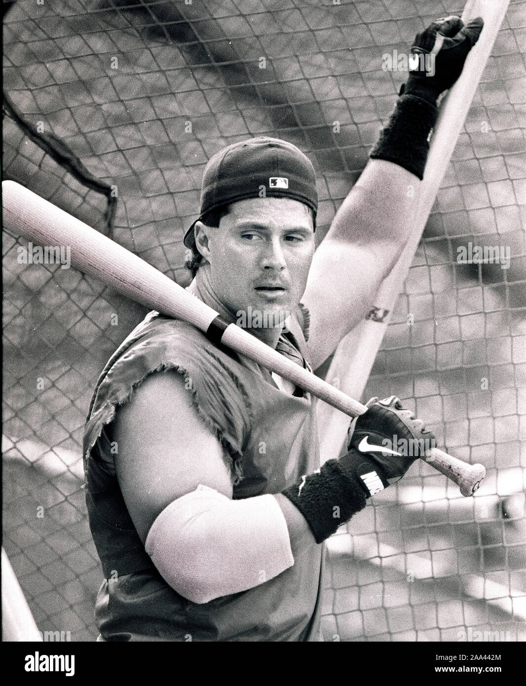 Boston Red Sox slugger Jose Canseco pauses during batting practice at Fenway Park in Boston Ma USA 1990’s photo by Bill Belknap Stock Photo