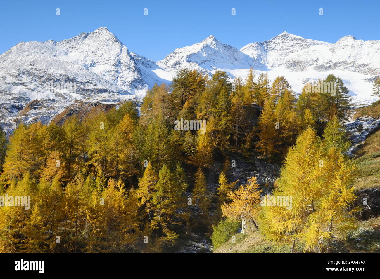 Herbststimmung am Berninapass Stock Photo