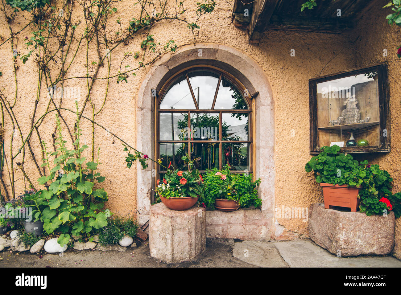 outdoors view of old window with plant decoration Stock Photo - Alamy