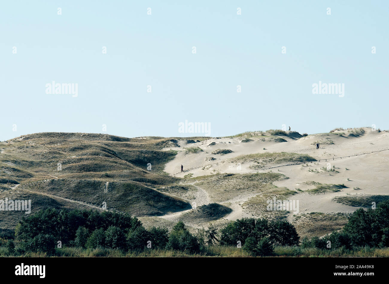 Five People walking on a sand dune, Curonian Spit, Neringa, Lithuania Stock Photo