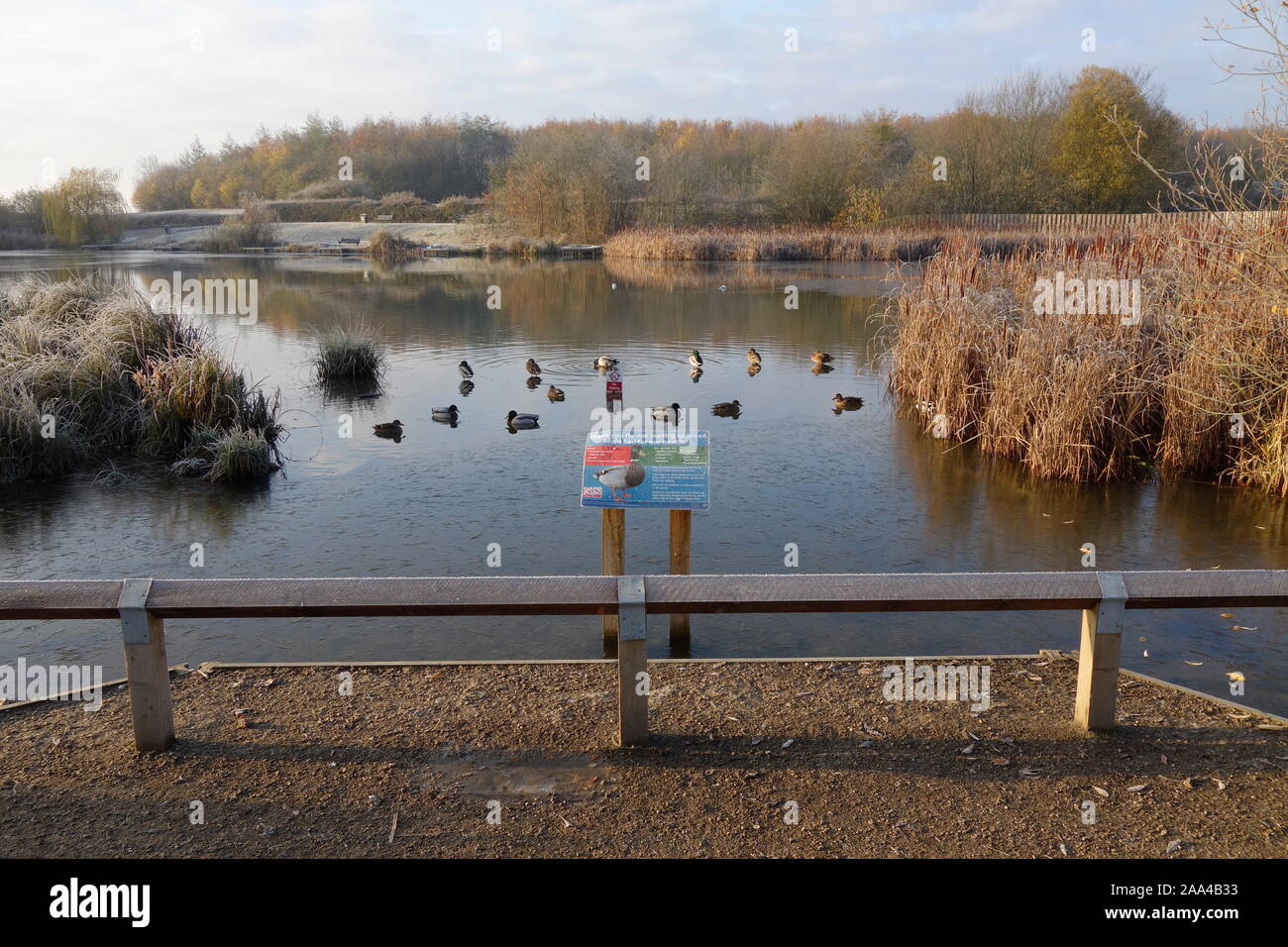 southern lake, thorley park, stortford herts england uk Stock