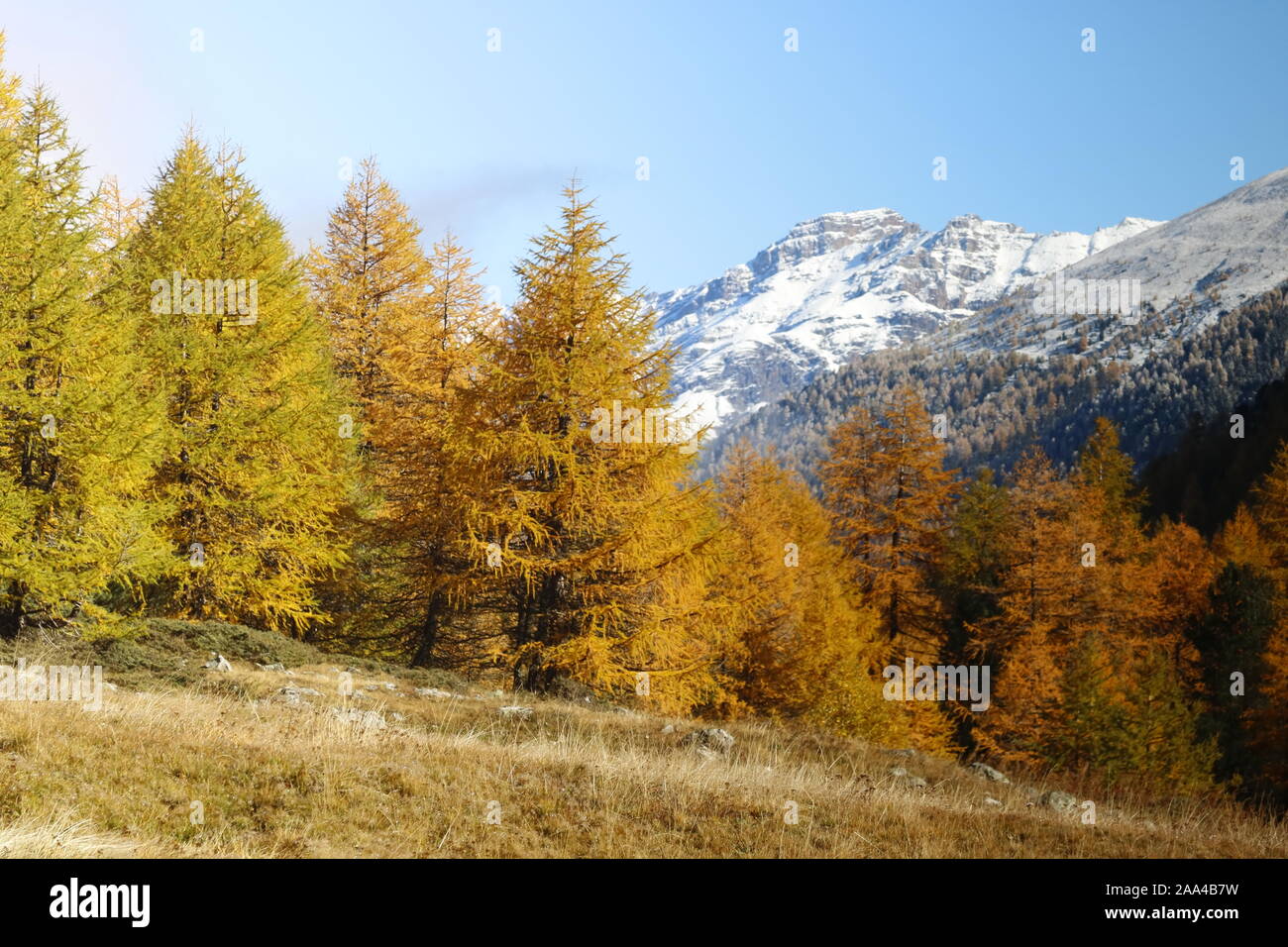 Herbststimmung im Valle delle Forcola Stock Photo