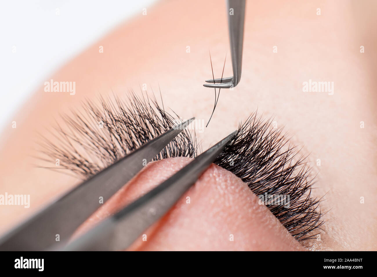 Eyelash extension procedure. Master tweezers fake long lashes beautiful female eyes. Stock Photo