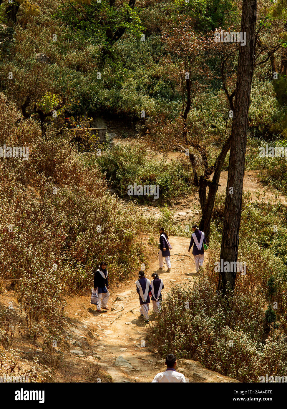 Young Students In School Uniform Walking On The Forest Road Going To Their Homes On Some Remote Part Of Kala Agar Ridge Kala Agar Uttarakhand India Stock Photo Alamy