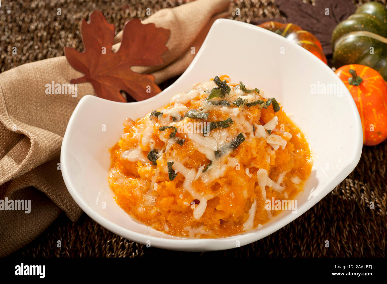 Mashed Butternut Squash Stock Photo