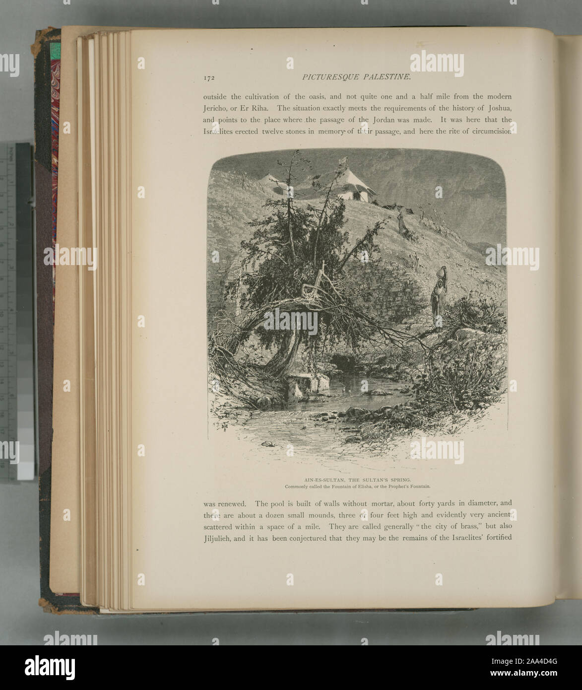 Colonel Wilson, ed.; AinesSultan, the Sultan's Spring, commonly