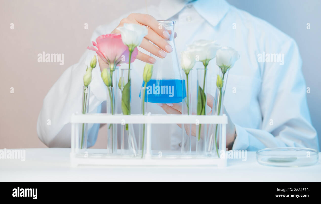 Natural Organic Extraction Flower Aroma Essence Solution With Scientist In Lab Biotechnology Concept Stock Photo Alamy