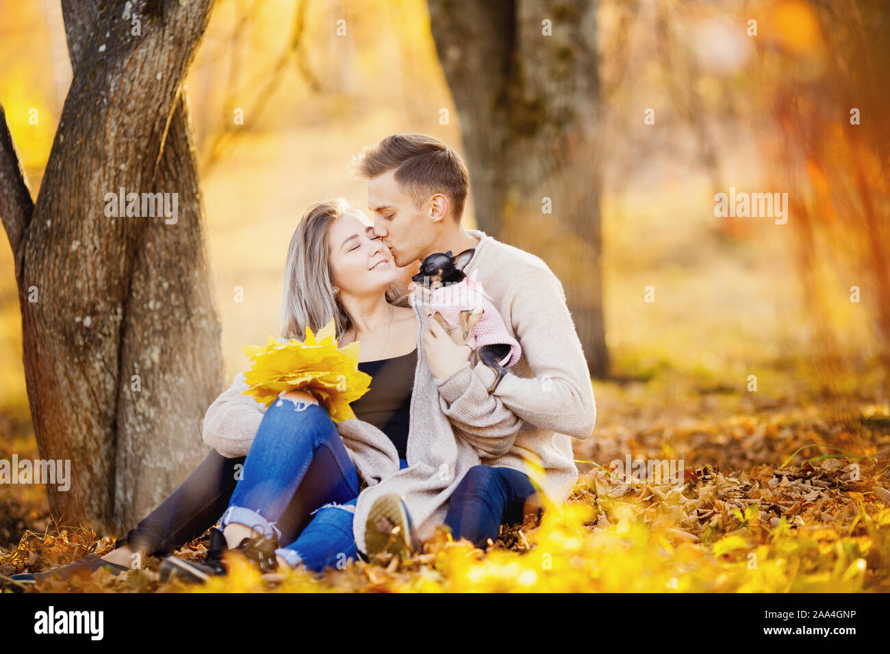 Loving couple is sitting in autumn park with small dog and kissing. Girl  holds maple leaves, yellow background. Concept Childfree Stock Photo - Alamy