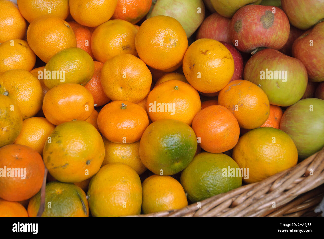 Gewoehnliche Mandarine im Korb, (Citrus reticulata) Stock Photo