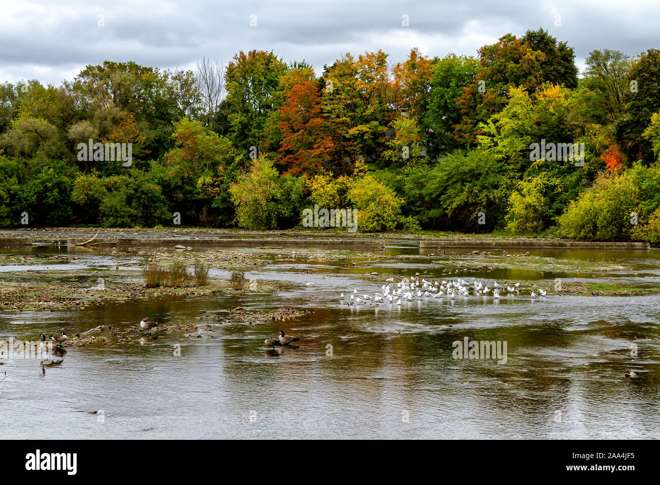 Guelph Riverside Park in Autumn Stock Photo