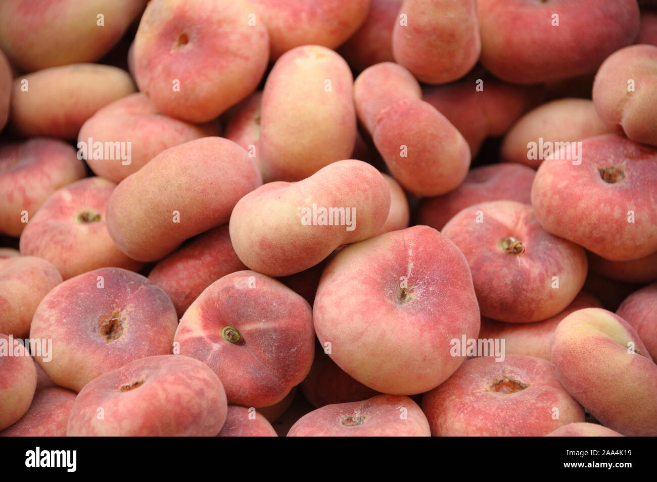 Teller-Pfirsich, Pfirsich  (Prunus persica 'Saturne') Stock Photo
