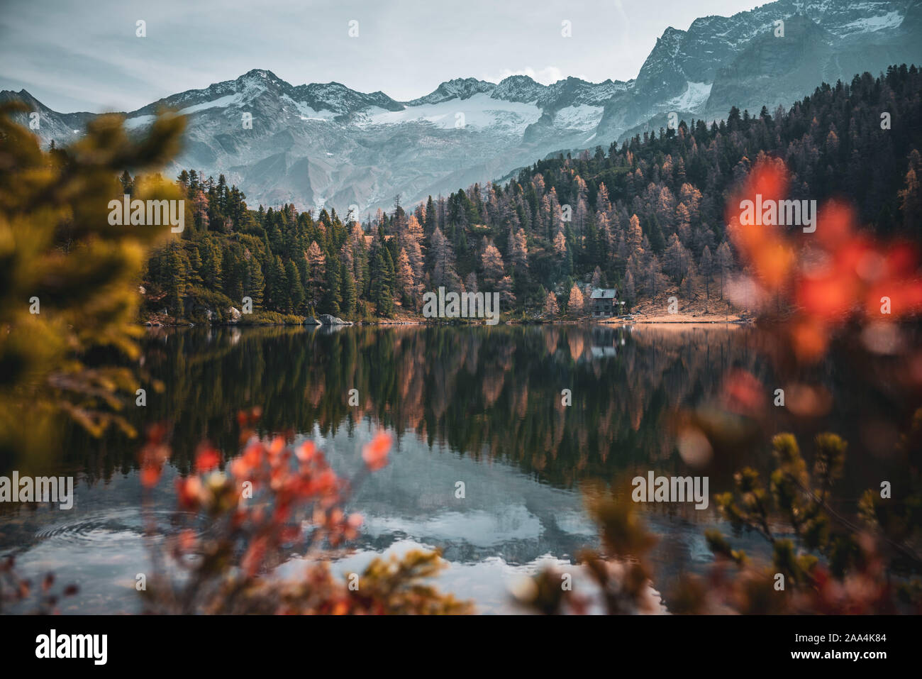 Cabin in the woods by Reedsee in the Austrian Alps, Bad Gastein, Salzburg, Austria Stock Photo