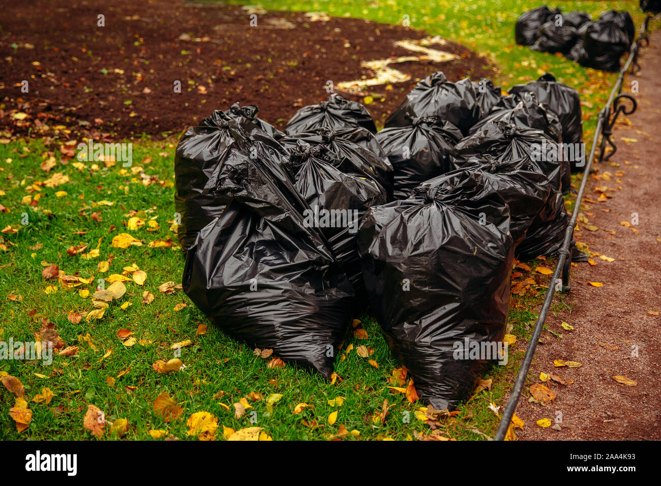 Two black garbage bags full of leaves near the tree Stock Photo - Alamy