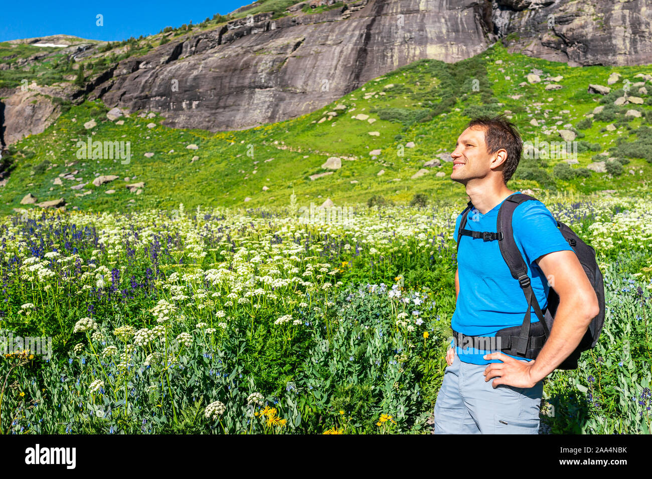 With Field Larkspur High Resolution Stock Photography and Images - Alamy