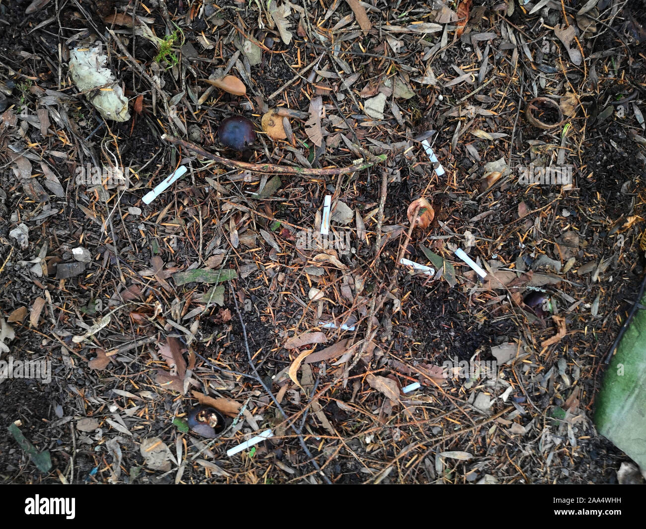 Syringes on a public ground Stock Photo Alamy