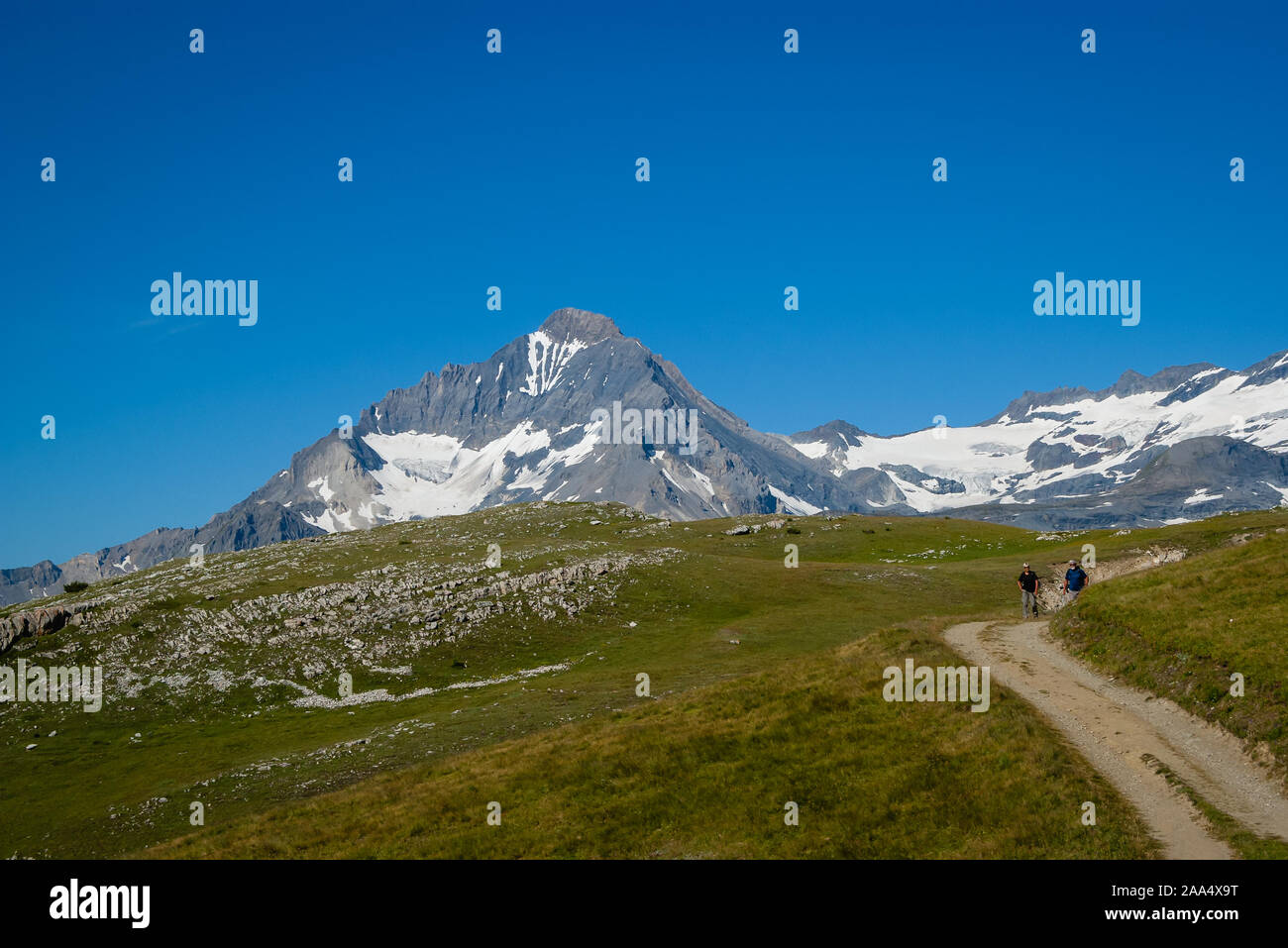 A couple of elderly tourists hiking in Vanoise National Park, French Alps. Beautiful mountain with snowy slopes and clear blue sky on the hohorizon. Stock Photo
