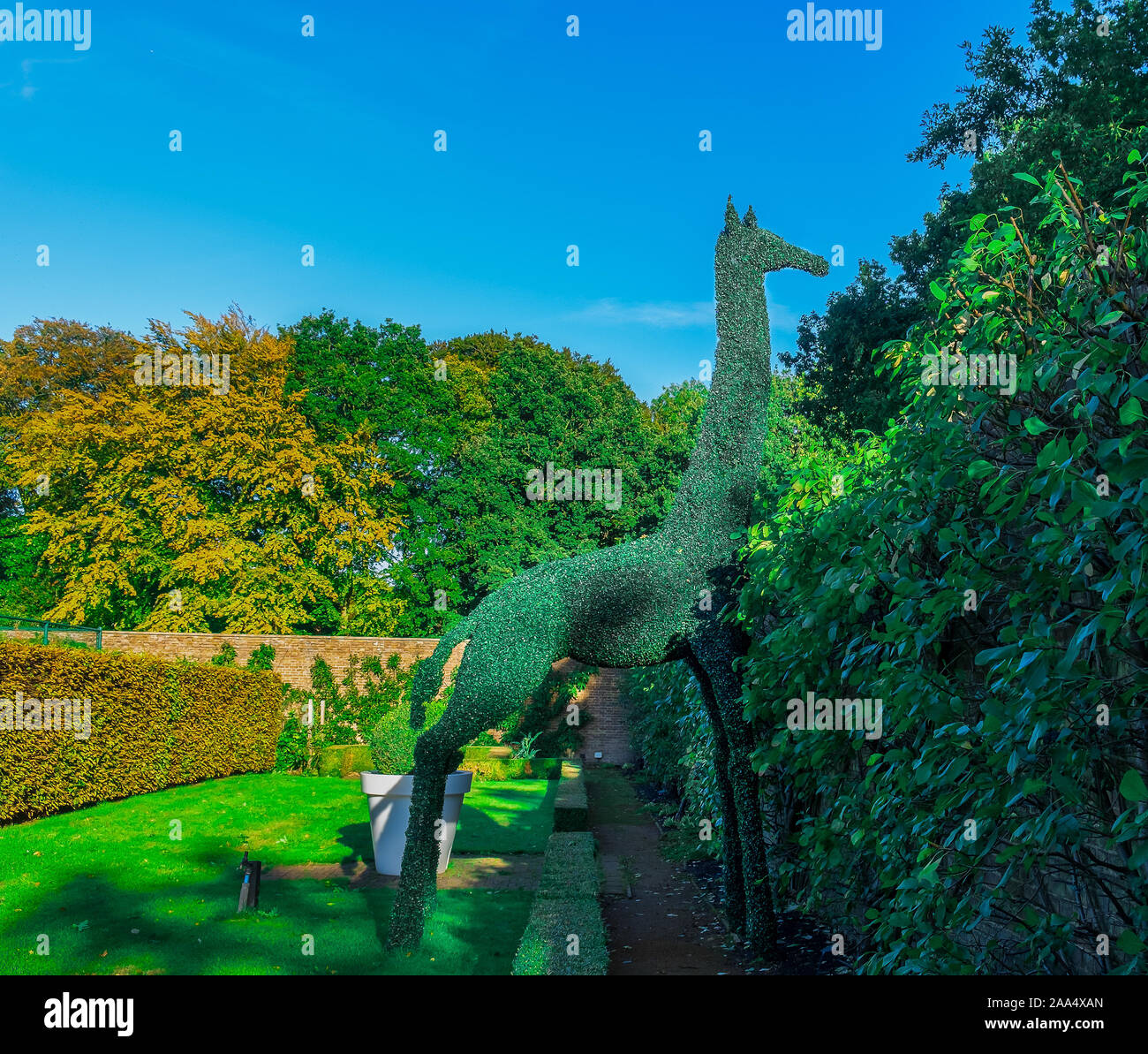 Watford, UK, Sept 2018, view of a topiary shape of a giraffe in one of The Grove hotel garden in Hertfordshire Stock Photo