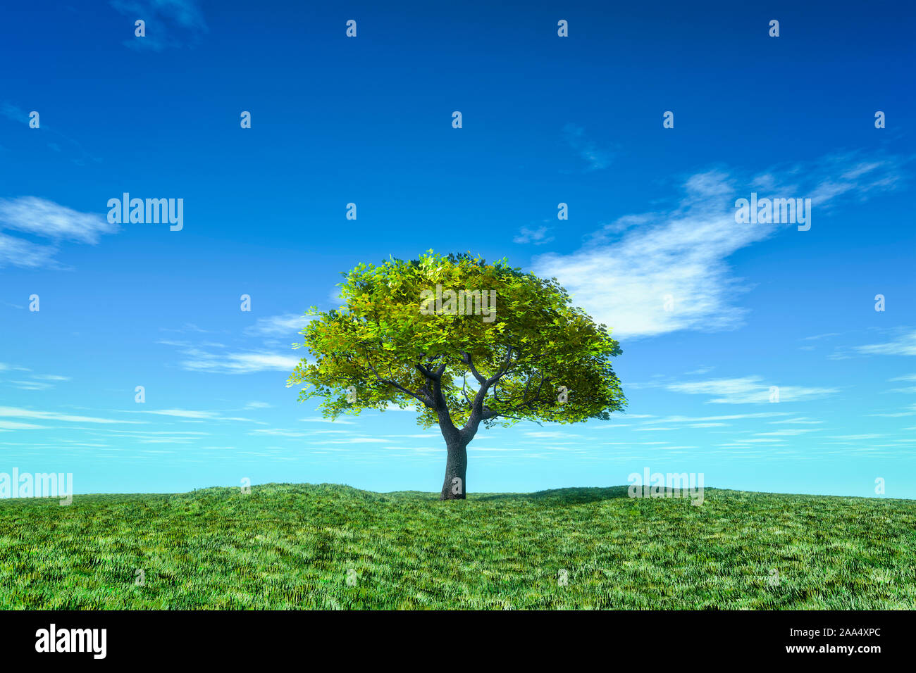 Ein alleinstehender, schoener gruener Baum auf einer Wiese Stock Photo