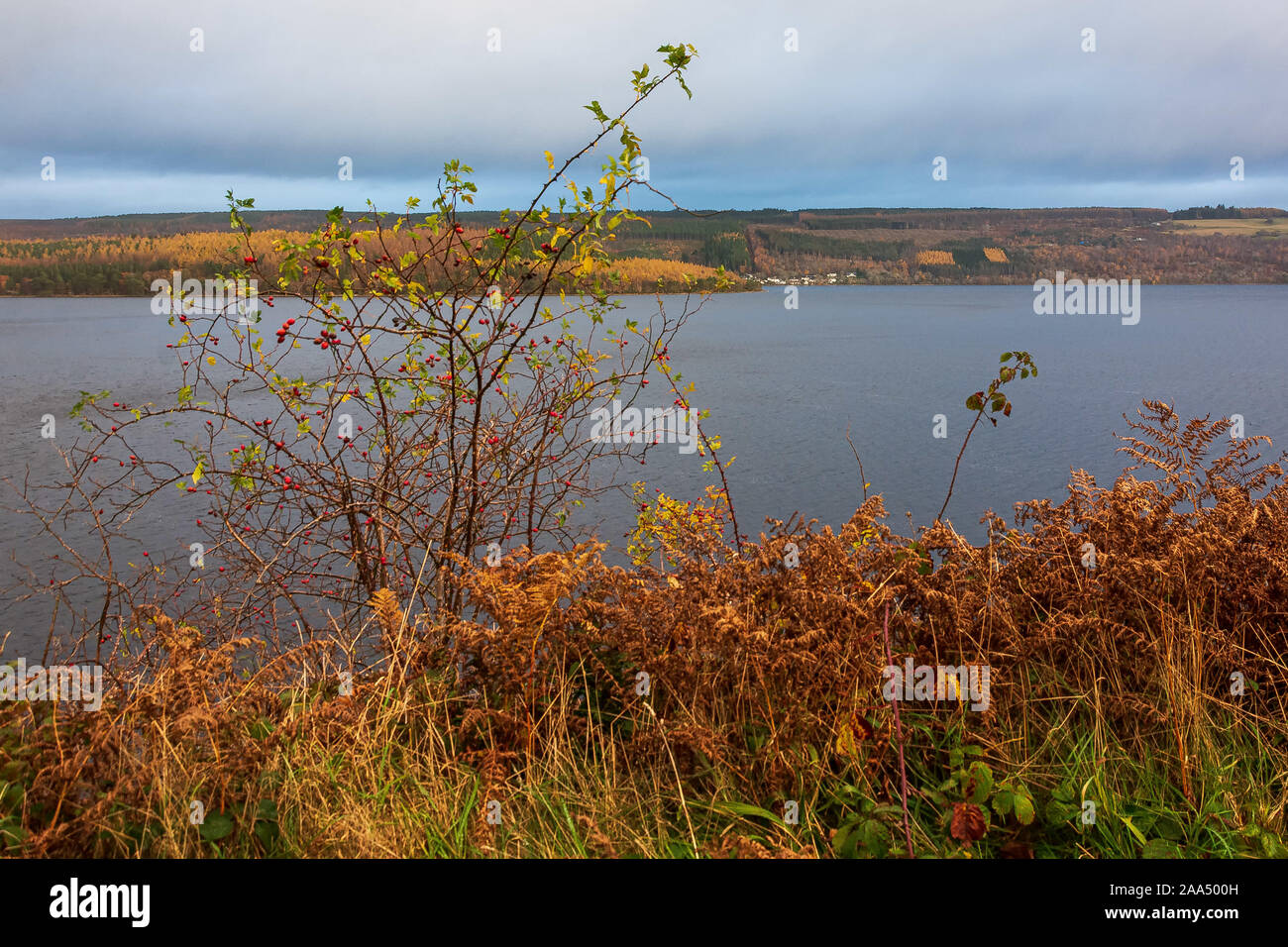 Loch Ness, Inverness, Scotland, United Kingdon Stock Photo