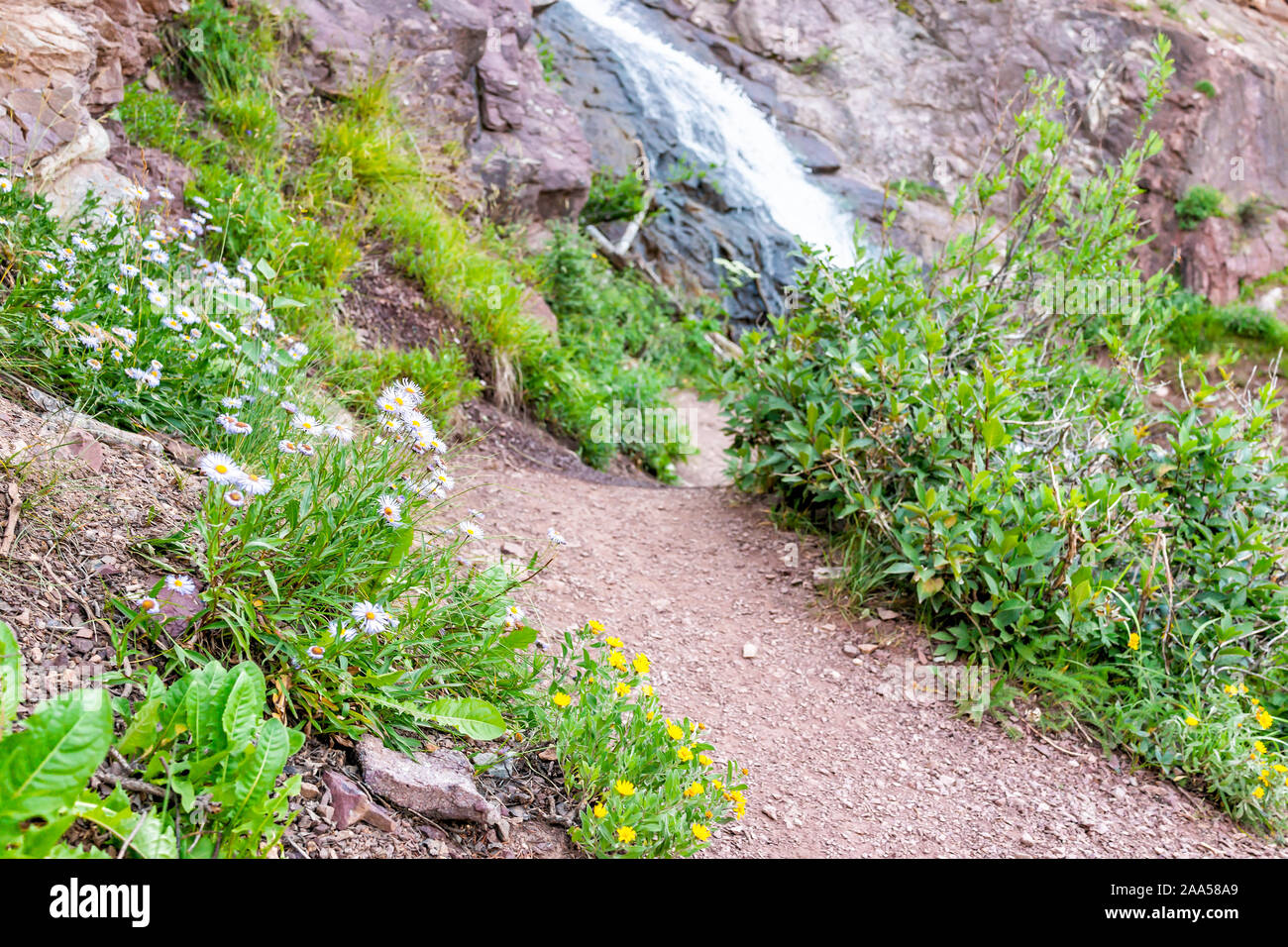 Waterfall river view on trail to Ice lake near Silverton, Colorado in August 2019 summer with path and wildflowers Stock Photo