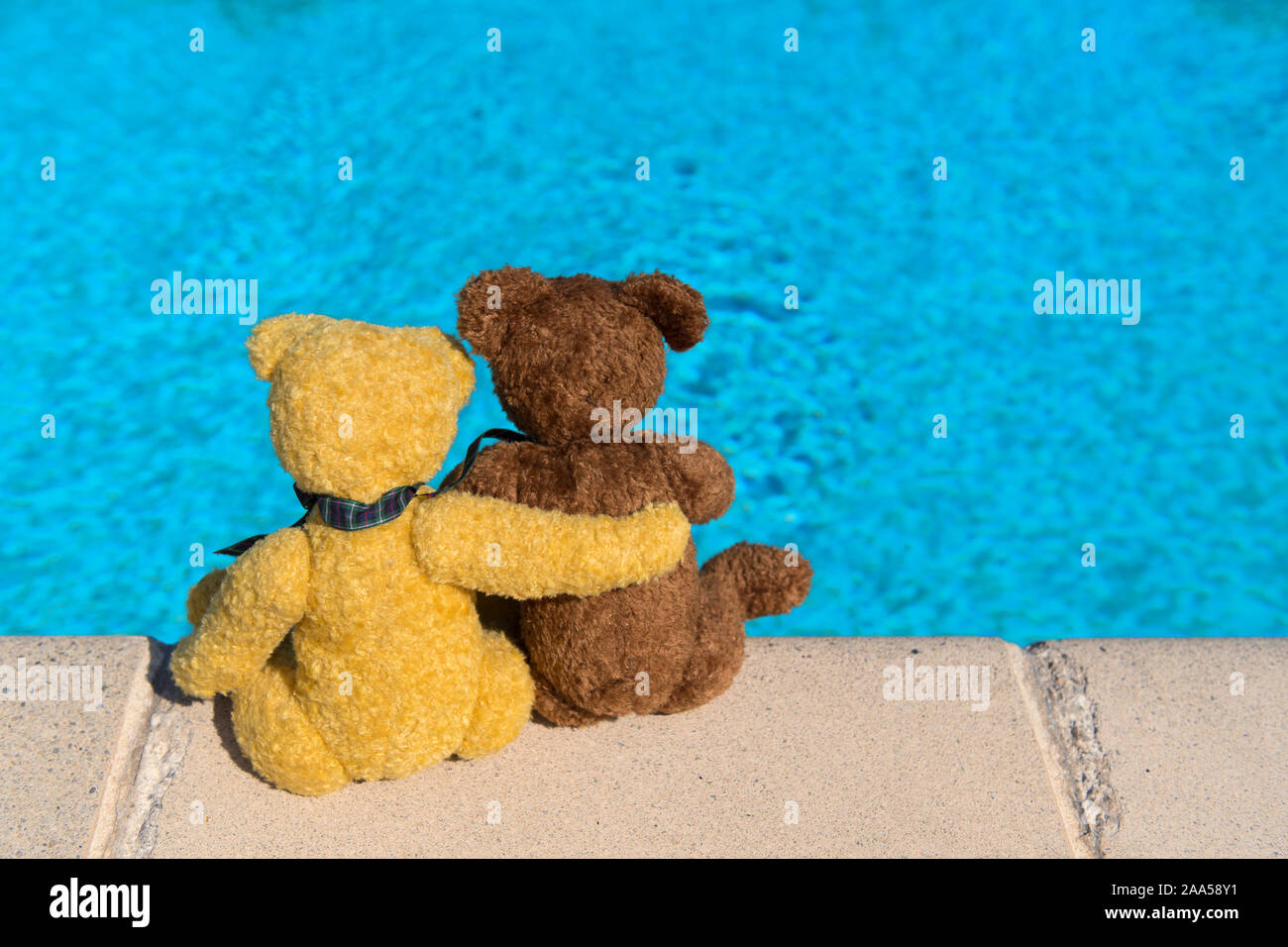 Two bears on vacation near swimming pool Stock Photo