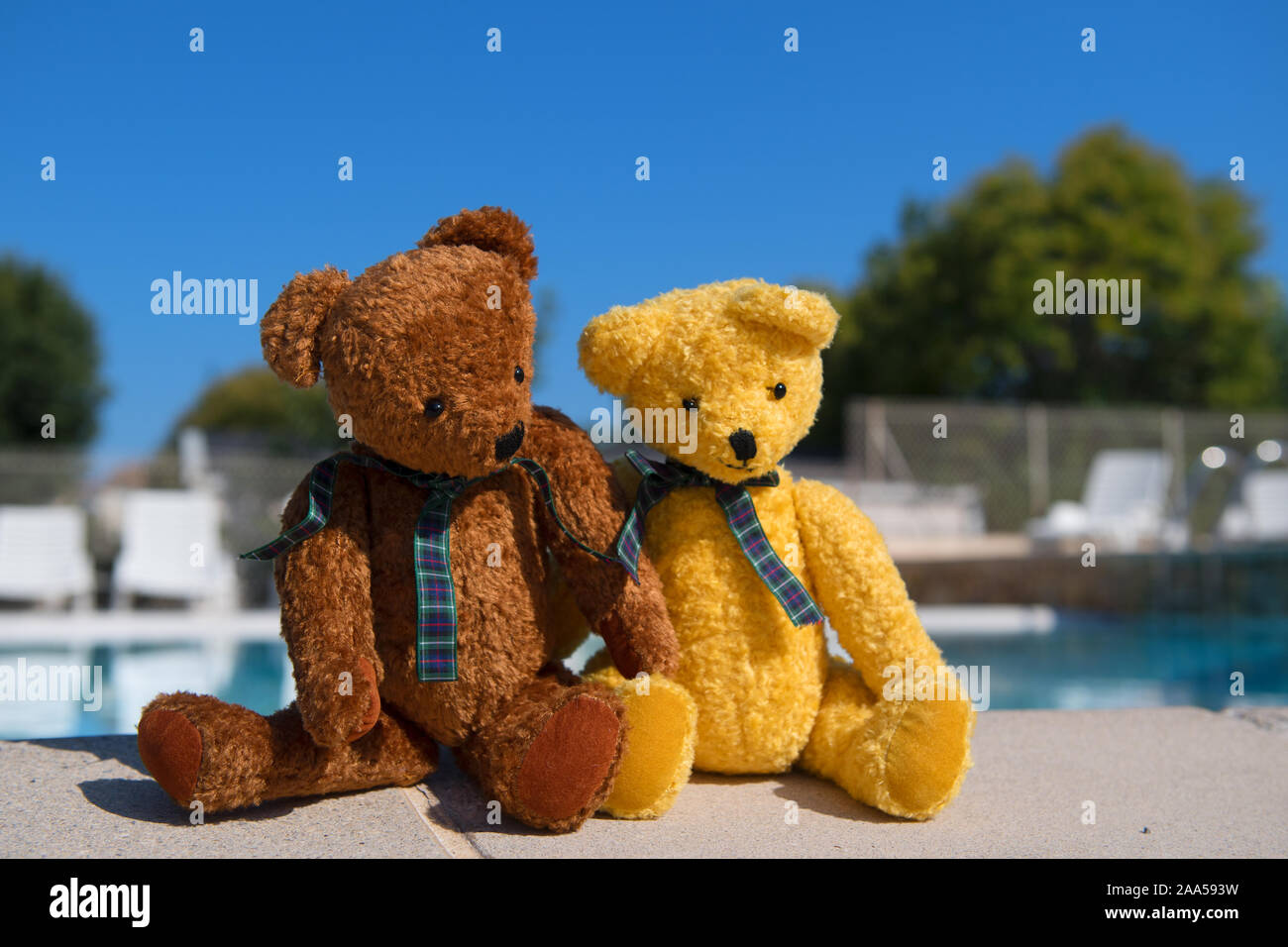 Two bears on vacation near swimming pool Stock Photo