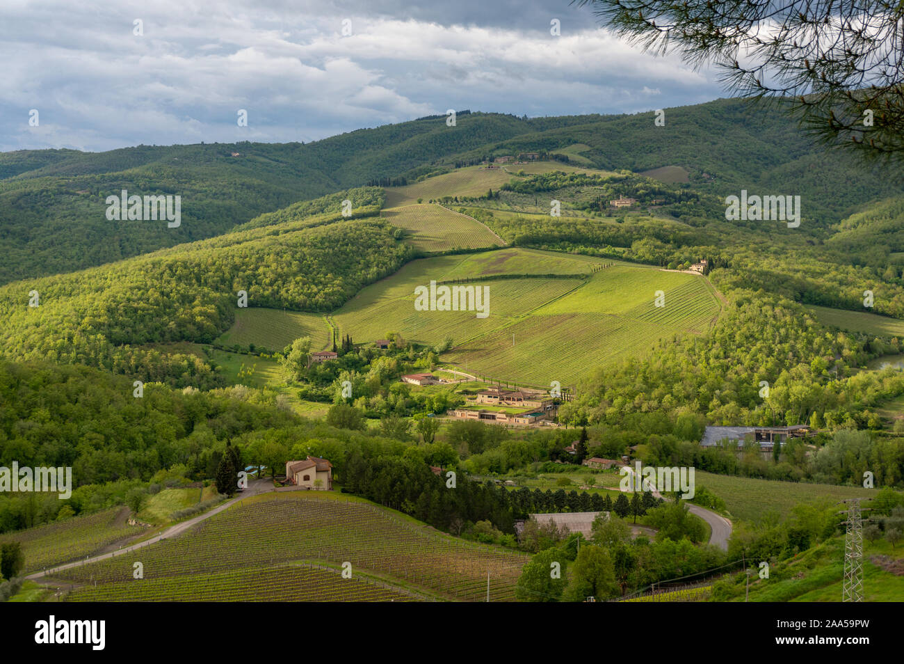 Rolling croplands, Radda in Chianti, Tuscany, Italy Stock Photo