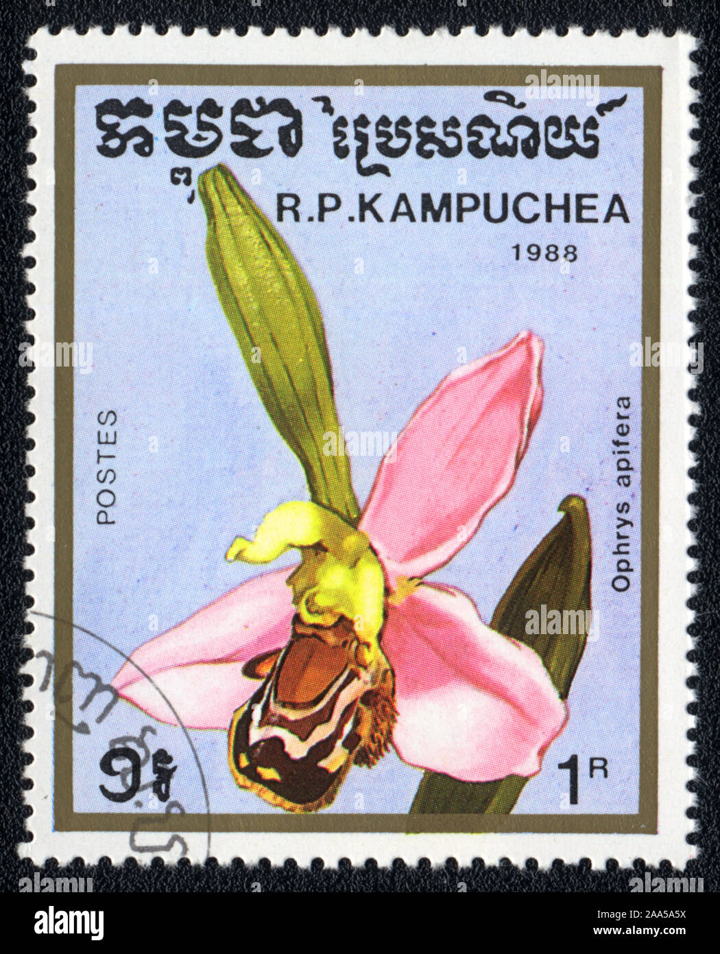 A stamp printed in Kampuchea shows flower Bee Orchid  or ophrys apifera, 1988 Stock Photo
