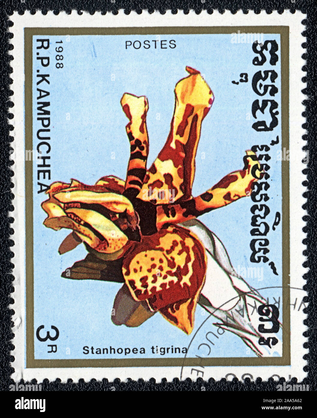 The stamp printed in Kampuchea shows the flower orchid Stanhopea Tigrina, 1988 Stock Photo