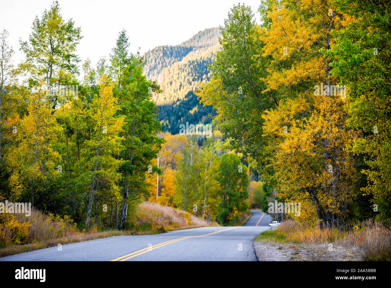 Aspen, Colorado rocky mountains foliage in autumn fall on trees on