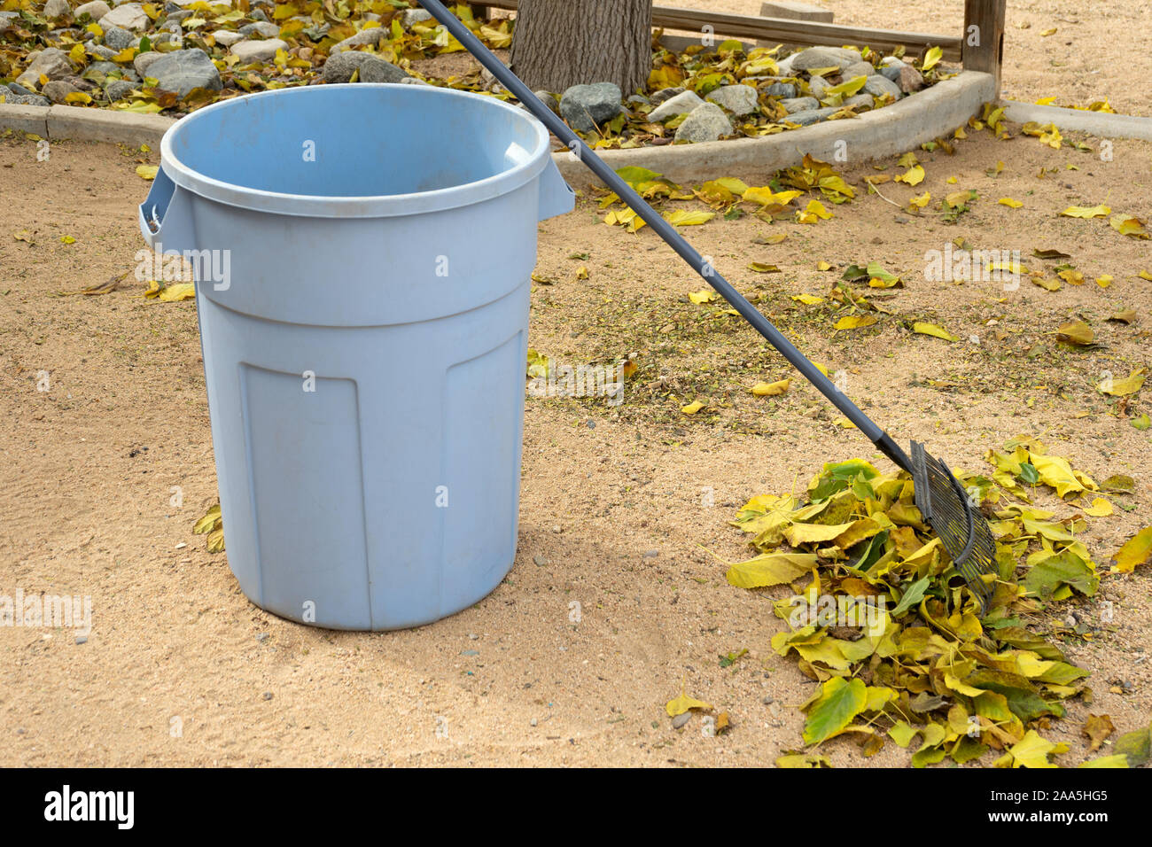 Trash can and rake in autumn Stock Photo