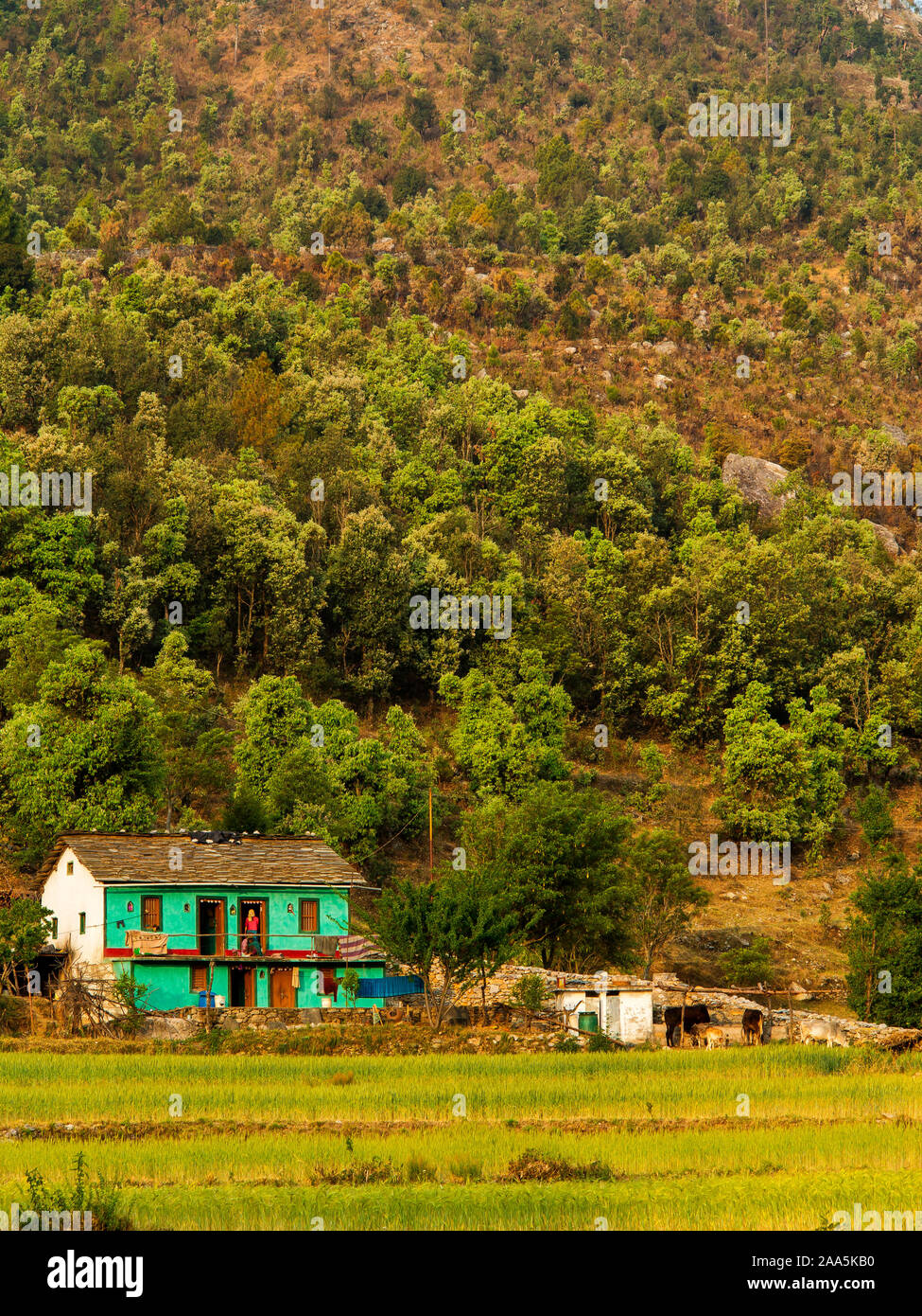 Green Kumaoni House Near The Forest At Kala Agar Village Where Jim Corbett Come After The 