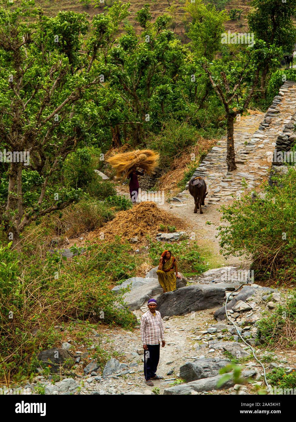 Indian people living at the Nandhour Valley near Dalkanya village, Kumaon Hills, Uttarakhand, India Stock Photo