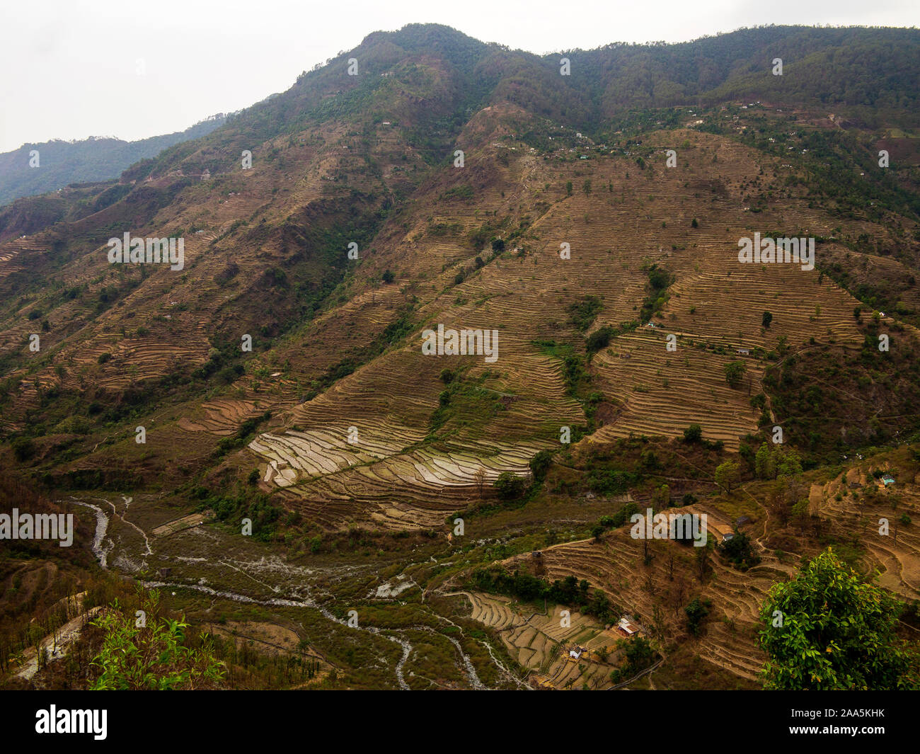 Extensive terraced fields at the remote village of Dalkanya on the Nandhour Valley, Kumaon Hills, Uttarakhand, India Stock Photo
