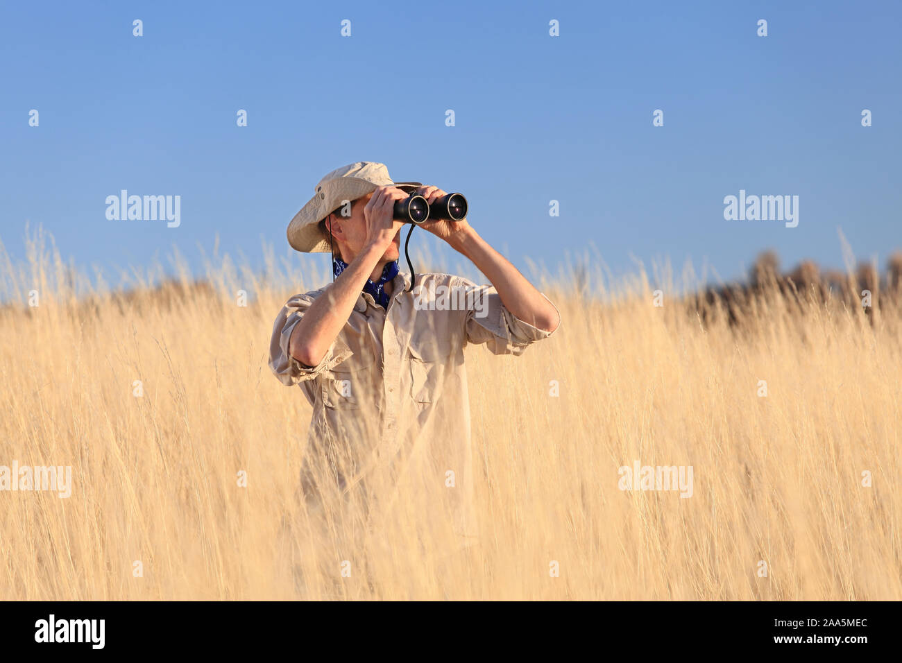 Safari man looking through binoculars in long grass Stock Photo