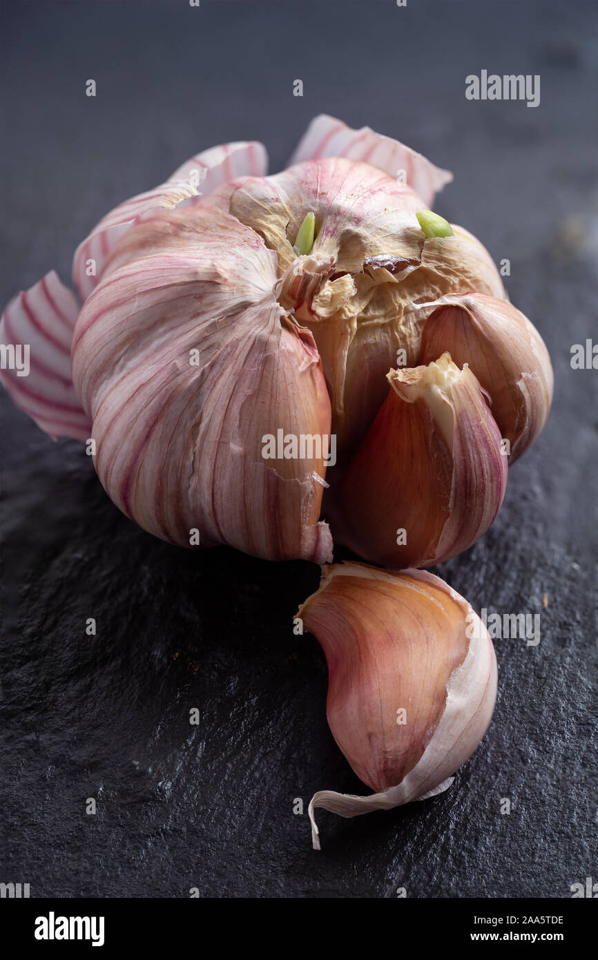 Sprouting Garlic High Resolution Stock Photography and Images Alamy
