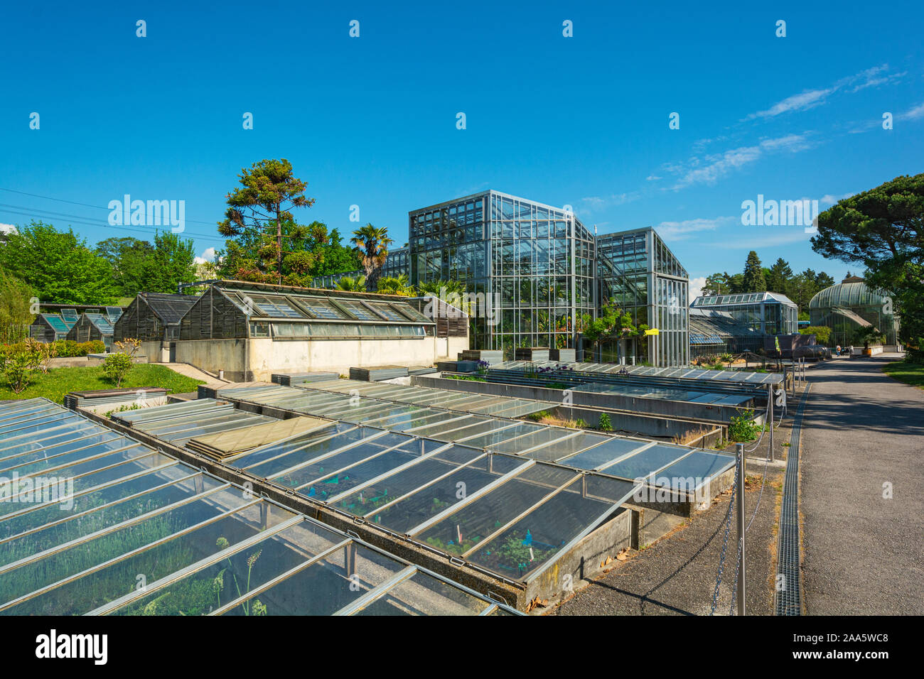 Botanical greenhouses hi-res stock photography and images - Alamy