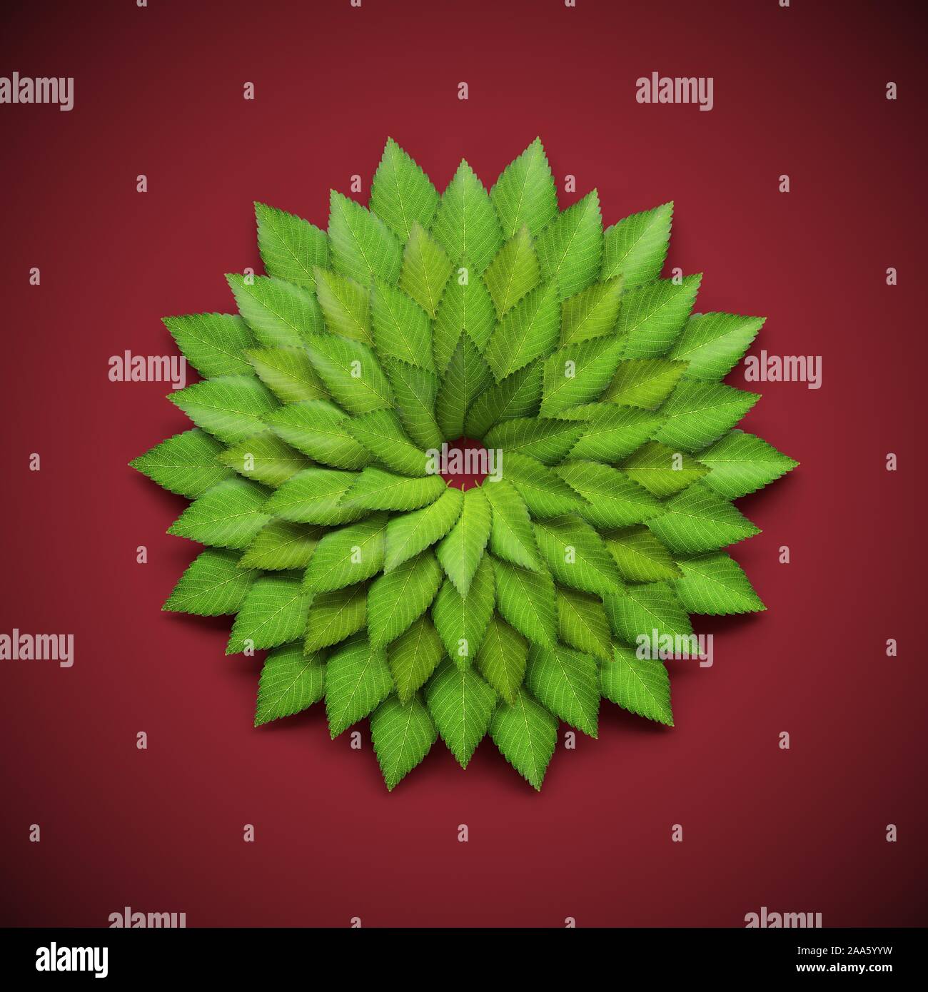 Leaves green circular hires stock photography and images Alamy