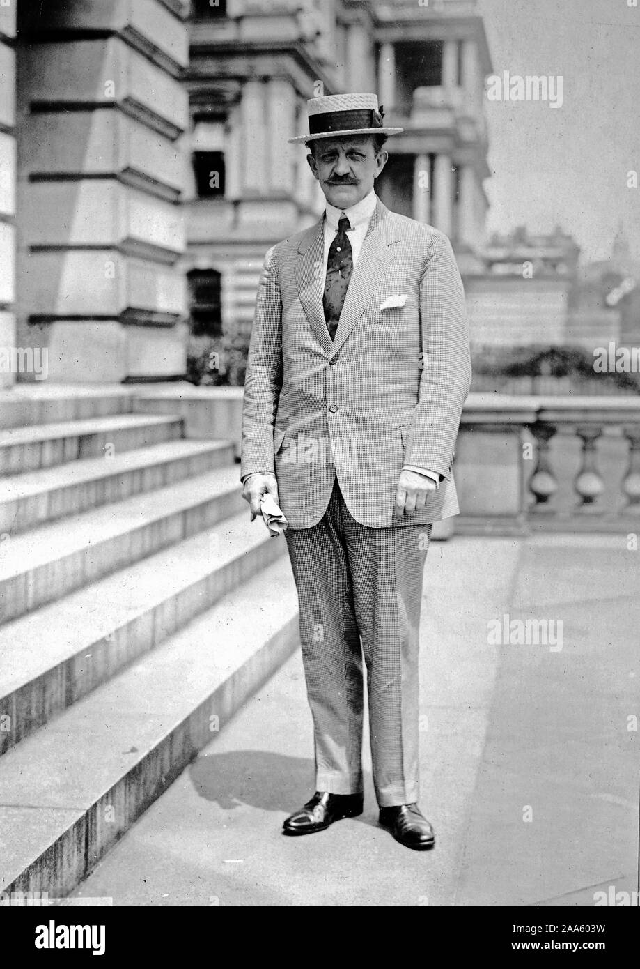 Count Johan von Bernstorff former German ambassador to the United States ca. 1917-1918 Stock Photo