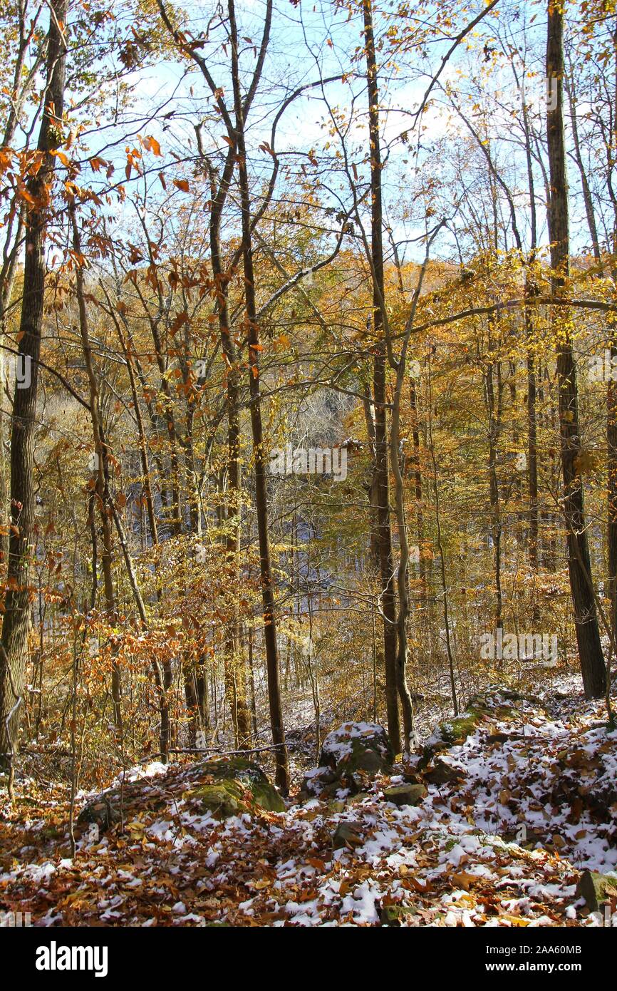 Hemlock Cliffs in Autumn, Indiana Stock Photo