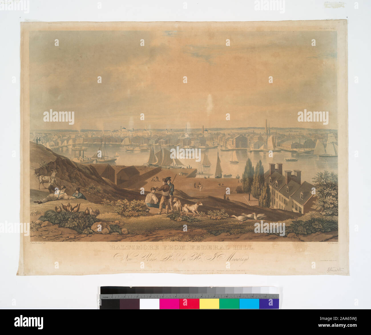 P 375 High Resolution Stock Photography And Images Alamy