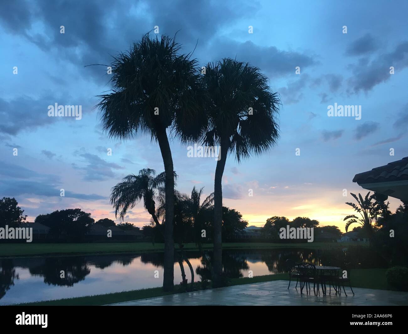 Miami Beach, Florida - Palm trees and sky Stock Photo