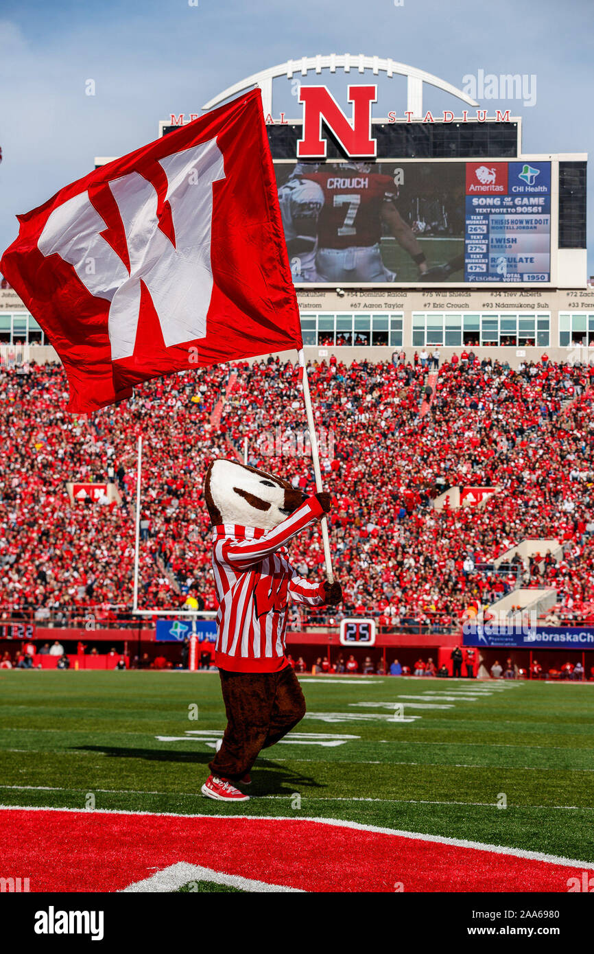 Lincoln, NE. U.S. 16th Nov, 2019. Wisconsin Badgers mascot ''Bucky Badger'' carries the Wisconsin flag after a score in action during a NCAA Division 1 football game between Wisconsin Badgers and the Nebraska Cornhuskers at Memorial Stadium in Lincoln, NE. Attendance: 88,842.Wisconsin won 37-21.Michael Spomer/Cal Sport Media/Alamy Live News Stock Photo