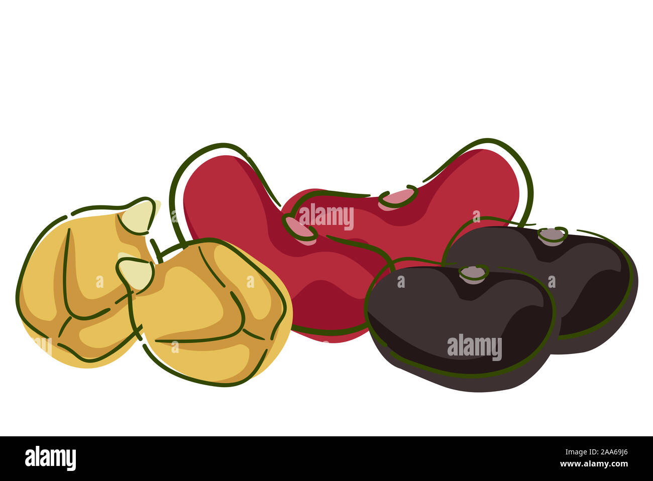 Illustration of Different Beans from Garbanzo, Kidney Beans and Black