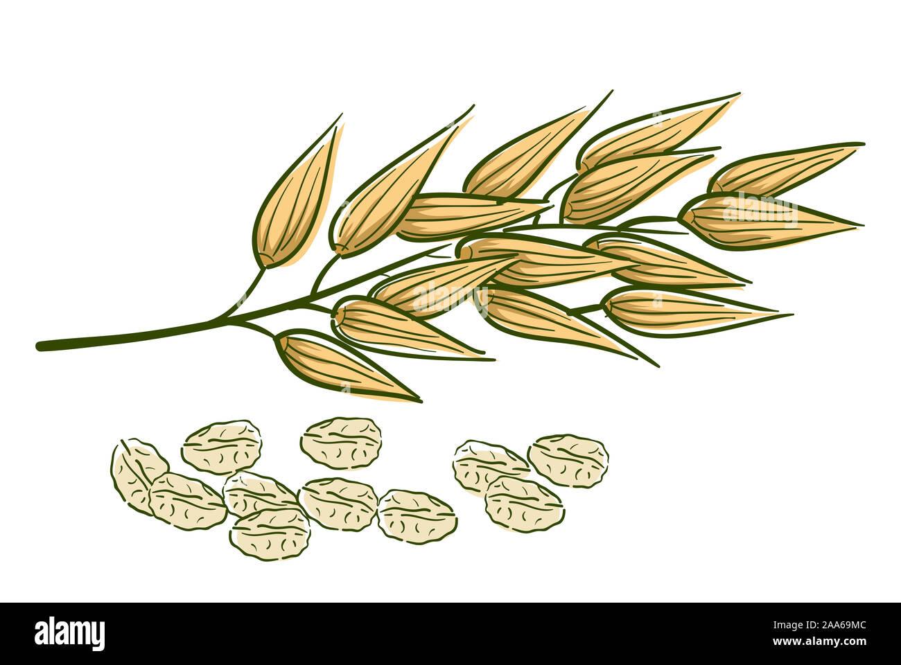 Download Illustration Of Oats A Superfood Grain Stock Photo Alamy PSD Mockup Templates