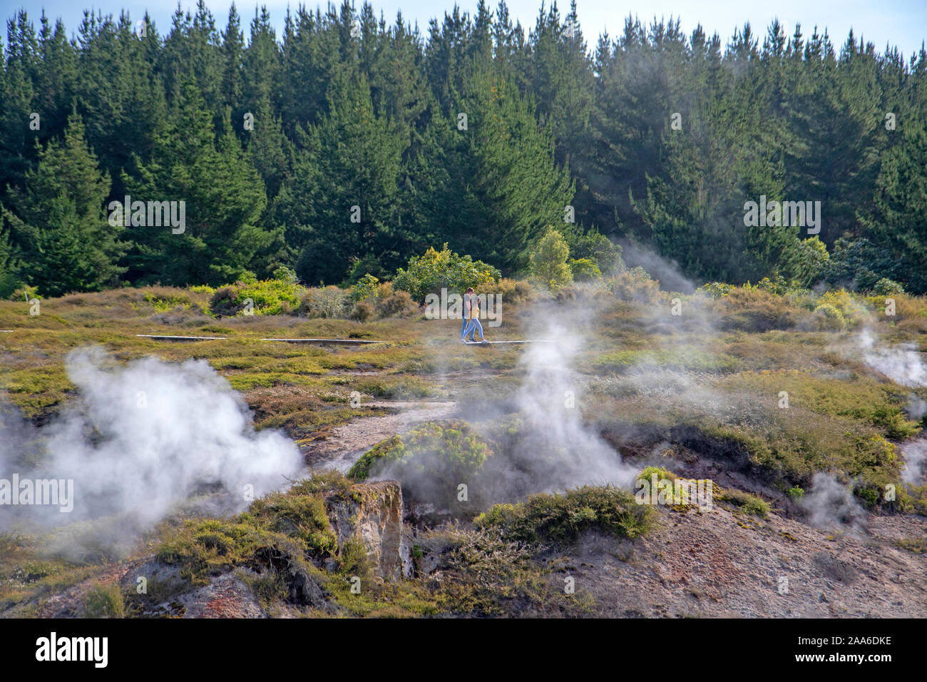 Steam pours from craters at the Craters of the Moon geothermal field Stock Photo