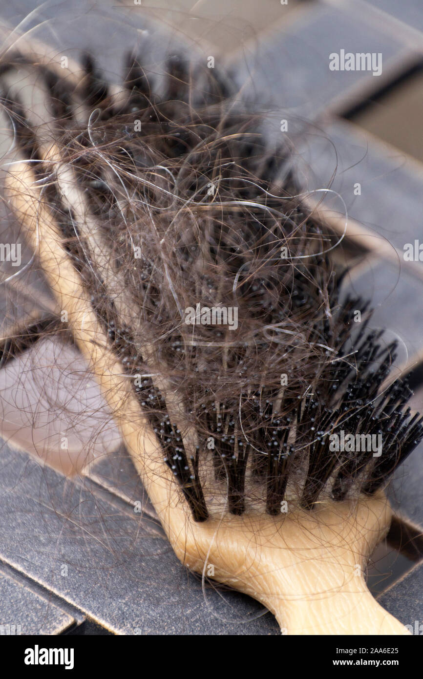 Close up of a hairbrush clogged with lost strands of thinning brown and gray hair Stock Photo