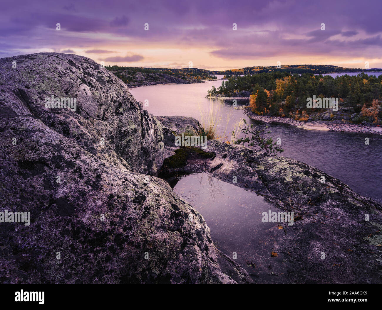 Puddle on a rock in the foreground. Purple colors. Conifer forests cover rocky islands. Nordic landscape. Dramatic sky Stock Photo