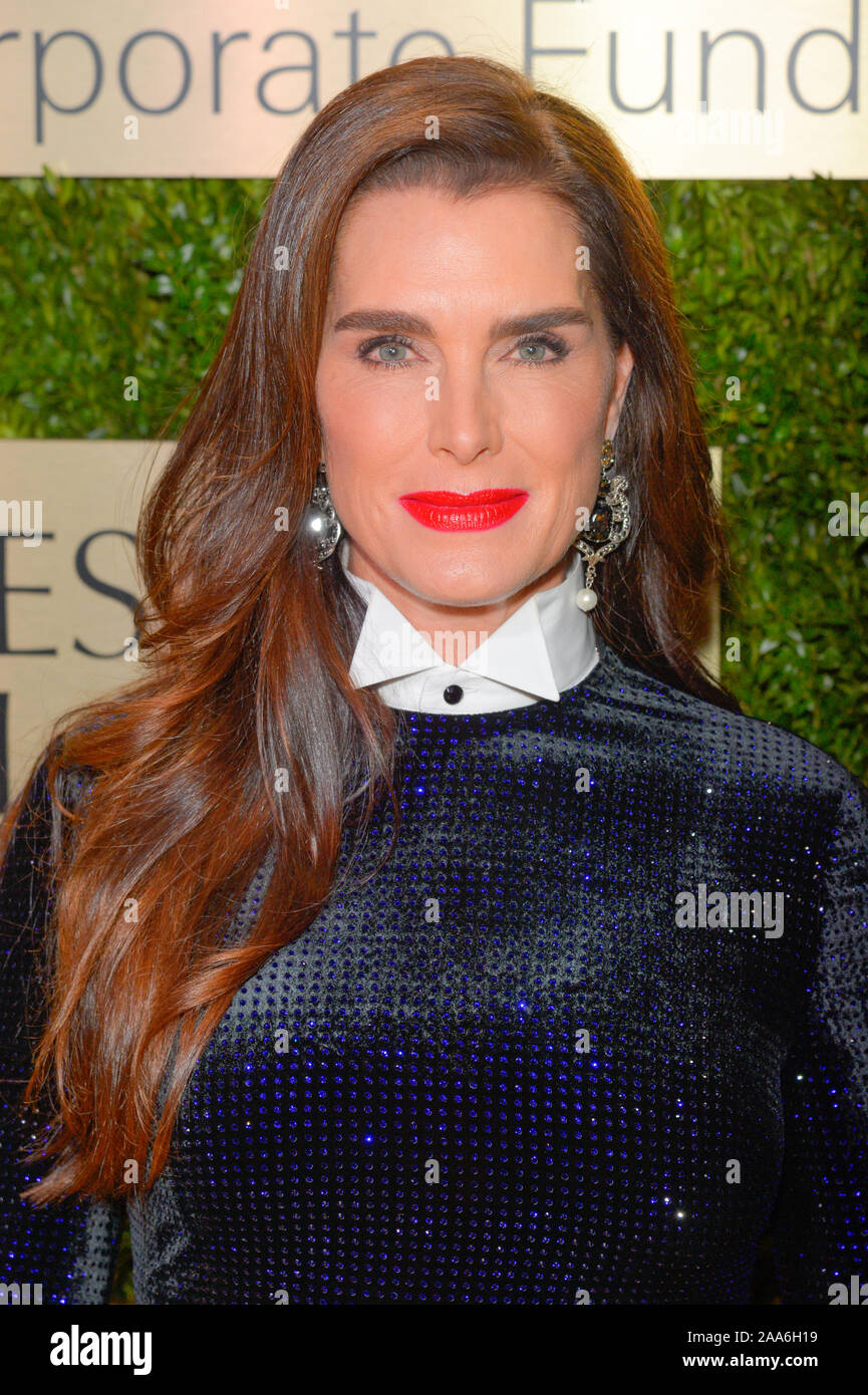 NEW YORK, NY - NOVEMBER 18: Brooke Shields attends the Lincoln Center