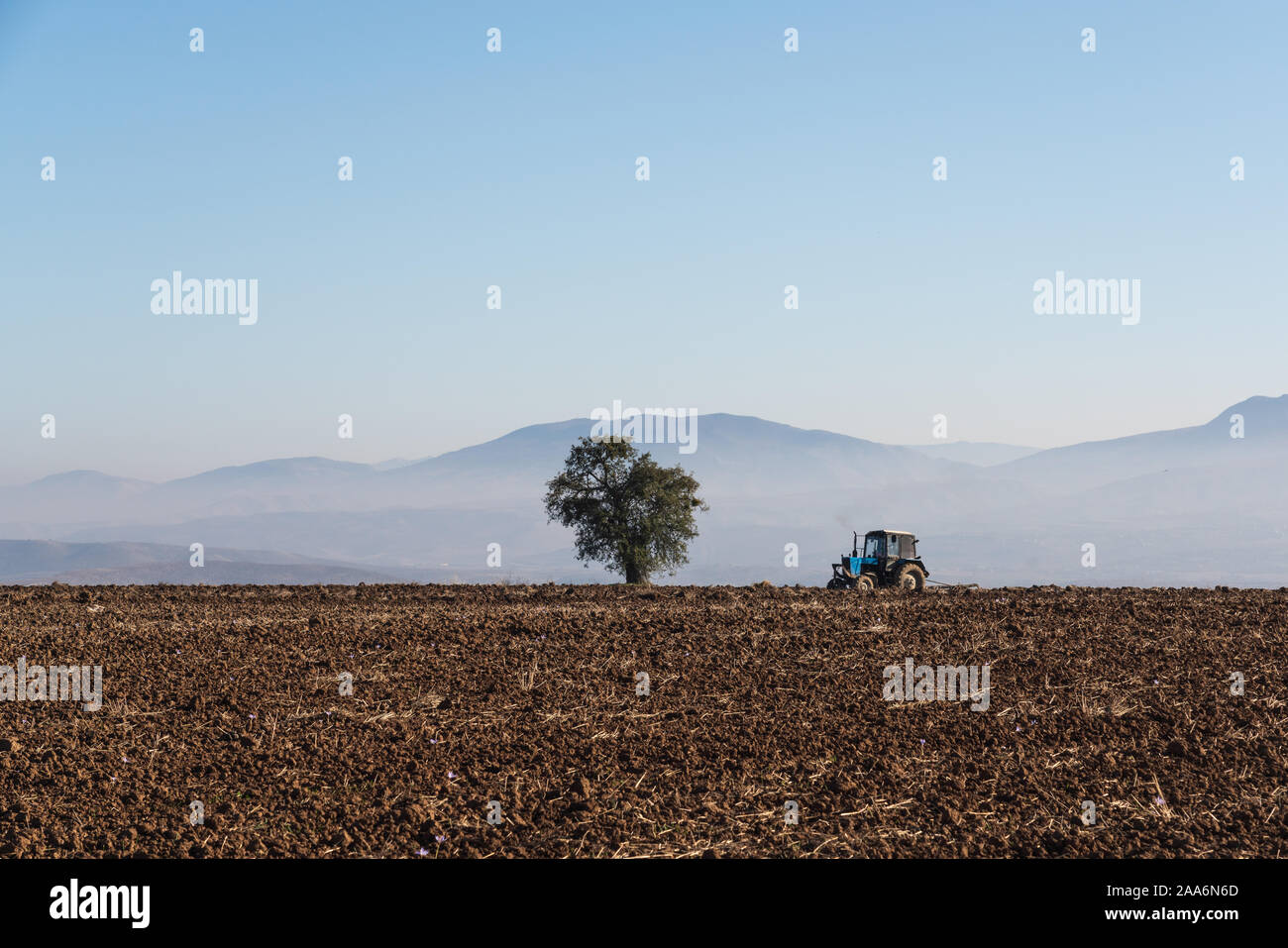 Tractor plows a farm field Stock Photo